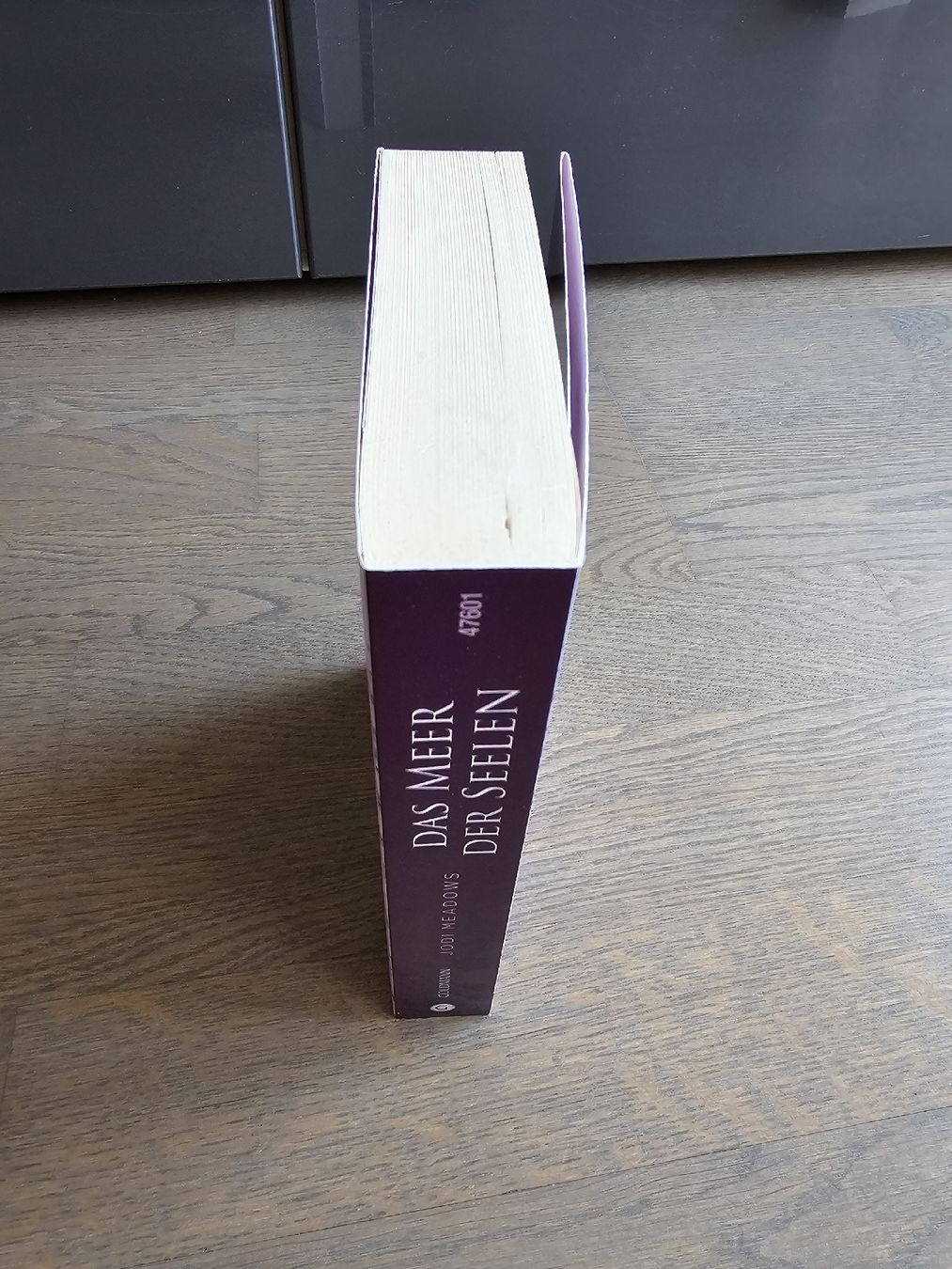 Libri: Das Meer der Seelen - Jodi Meadows – Usato da Hinterforst venduto da impatiently 2