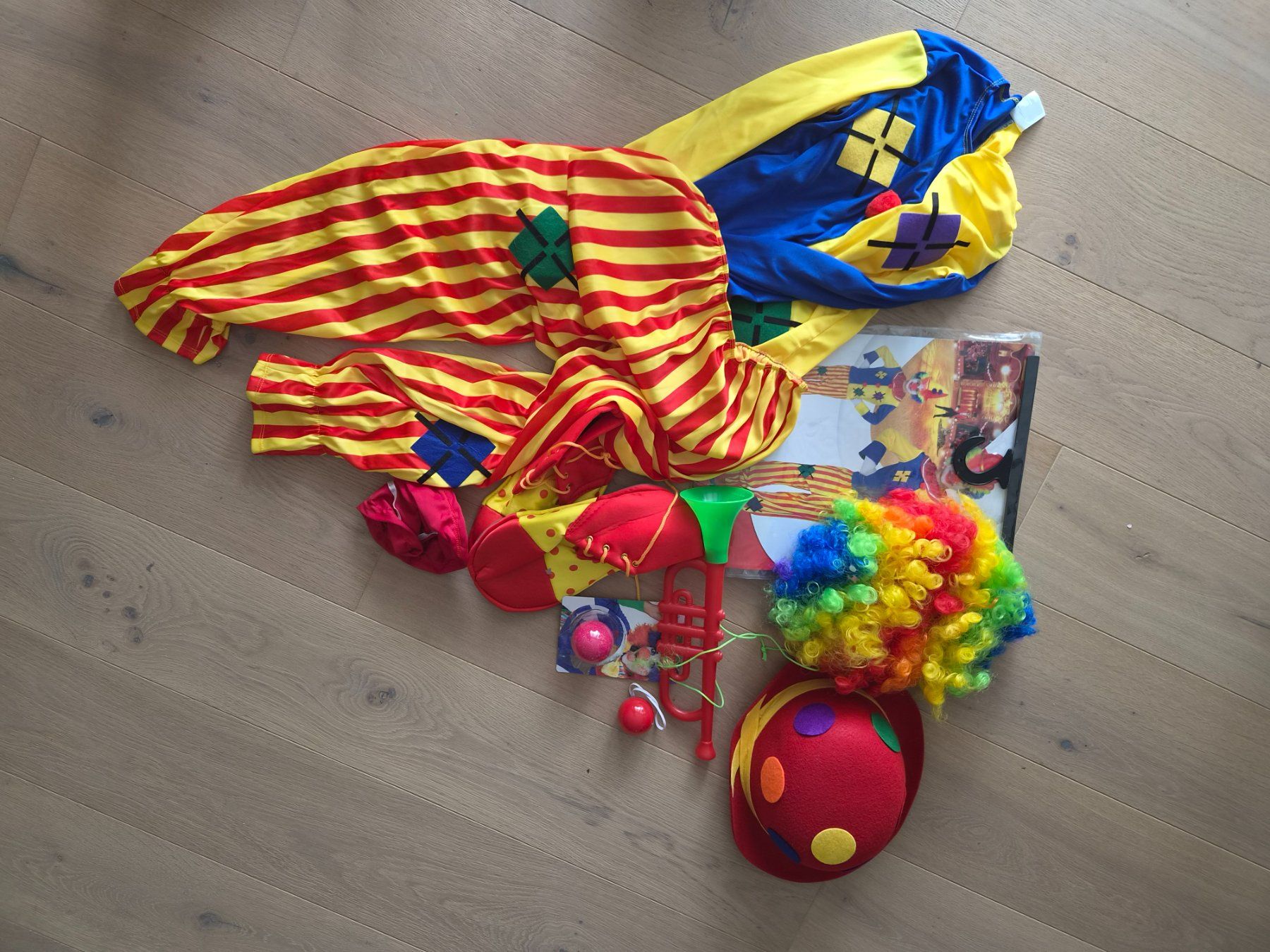 Costumi: Clown Kostüm  Grösse 158 – Usato da Oberrohrdorf venduto da Koala76 1
