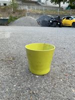 Blumentopf Grün