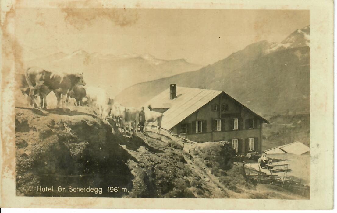 Ansichtskarten: Hotel Gr. Scheidegg  1920 – Gebraucht aus Hochdorf von Ziegel-16