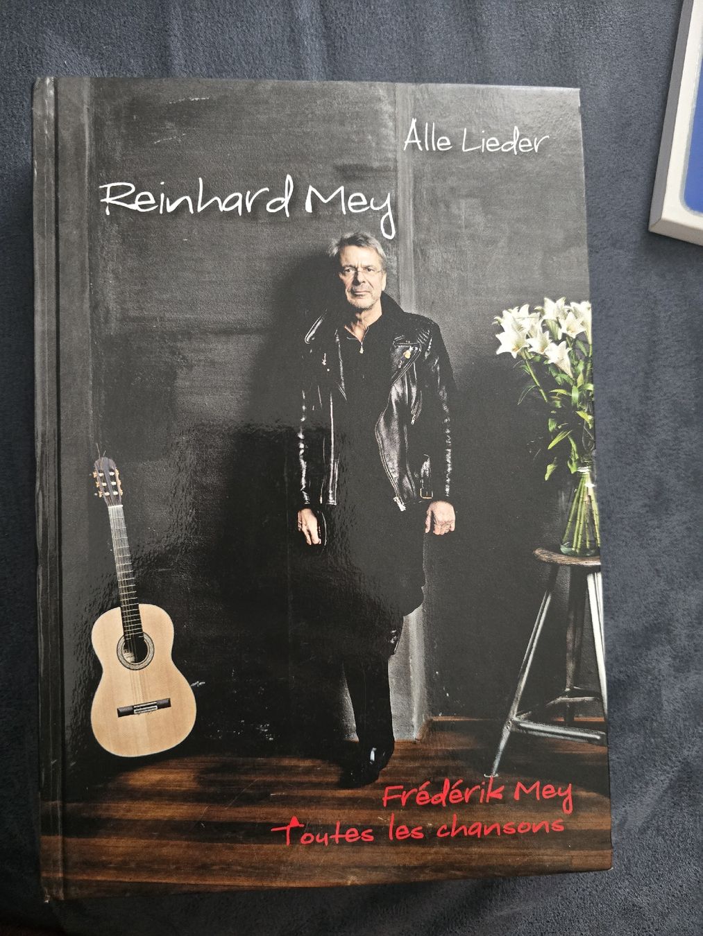 Libri: Reinhard Mey Alle Lieder Buch – Usato da Zürich venduto da smbebaye