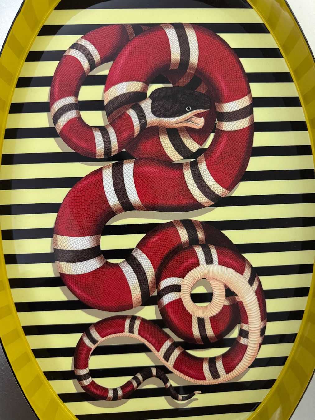 Pareti & Soffitti: Plateau GUCCI Kingsnake Oval – Nuovo (secondo la descrizione) da Fully venduto da Gaga1990 5
