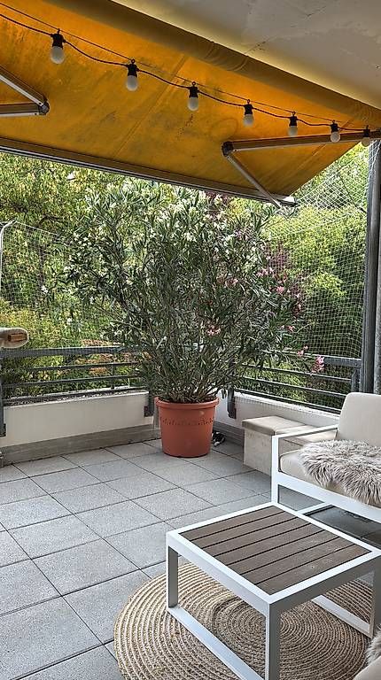 Piante & sementi: Wunderschöner Oleander  – Usato da Bern venduto da ani_gg7c