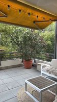 Wunderschöner Oleander 