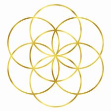 Profile image of EmpathyRose