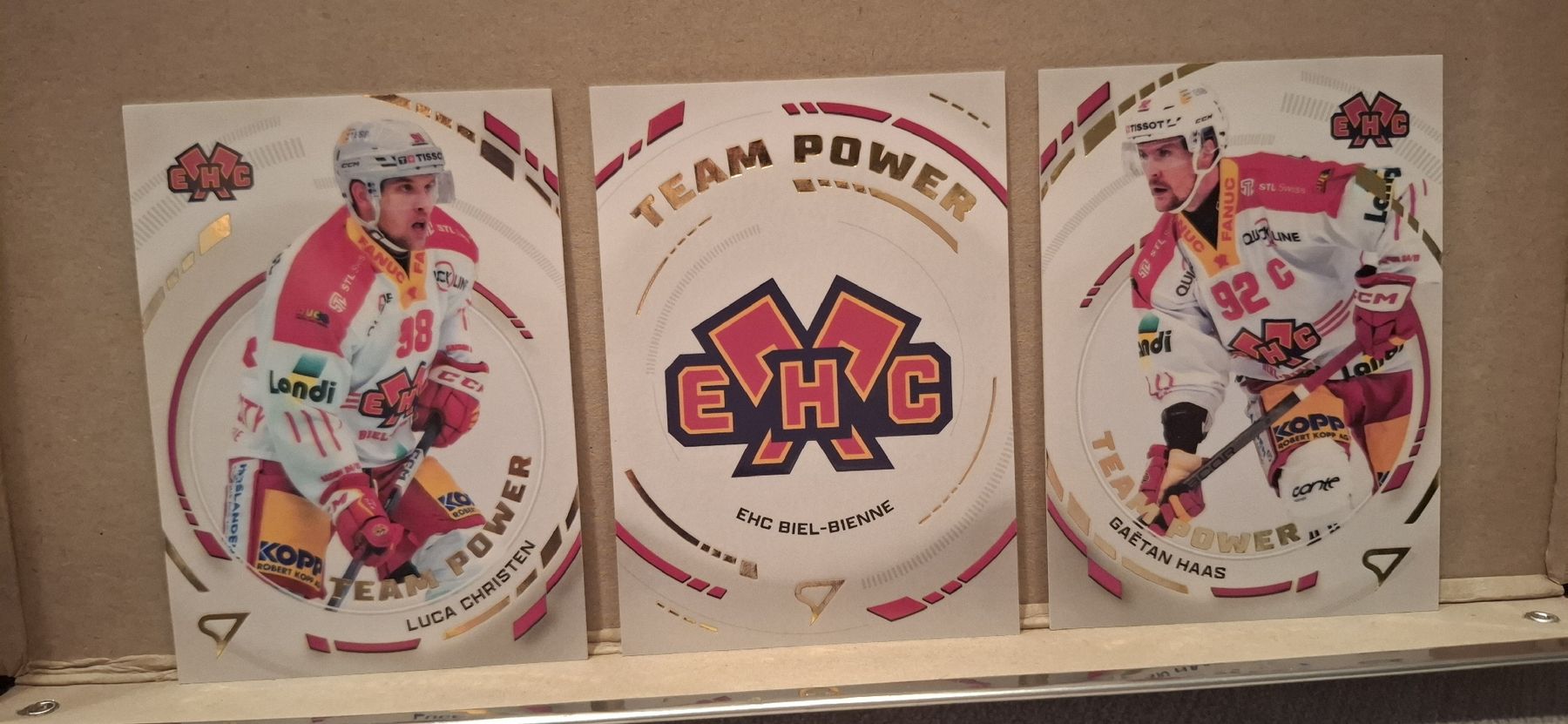 Sportzoo Carte collezionabili: Cartes Team Power EHC-Bienne – Nuovo (secondo la descrizione) da Aigle venduto da vir_lb2c