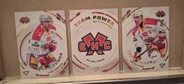 Cartes Team Power EHC-Bienne