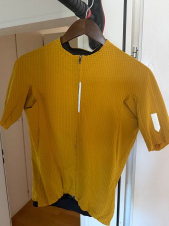 Q36.5 Dottore Pro Jersey Curry Size M
