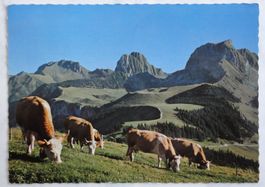 Gurnigel - Gantrisch-Gebiet, Berner Oberland