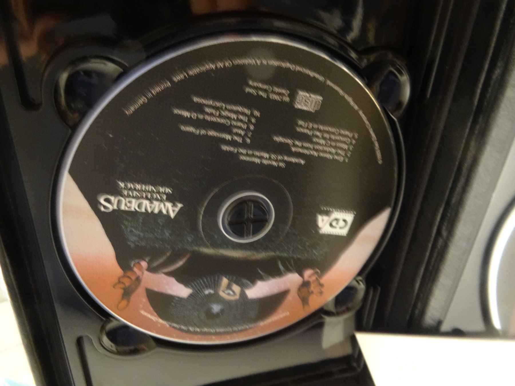 Tutti i DVDs: Amadeus - Director's Cut DVD Special Edition mit Senitype – Usato da Olten venduto da Disc-Verkauf 3