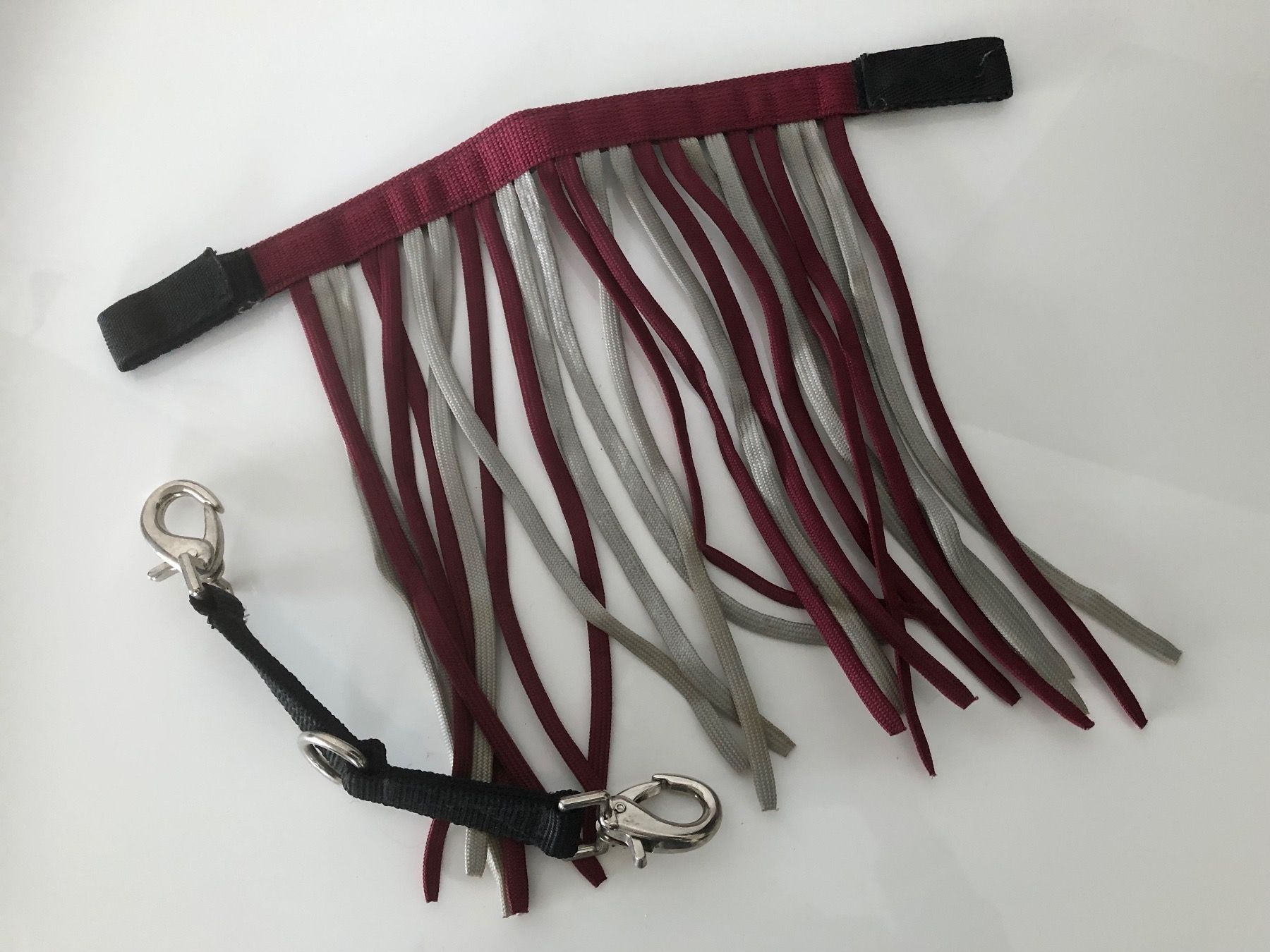 Briglie & Cavezze: Longierbrille und Fliegenfransen – Usato da Zollikofen venduto da DelNero 1