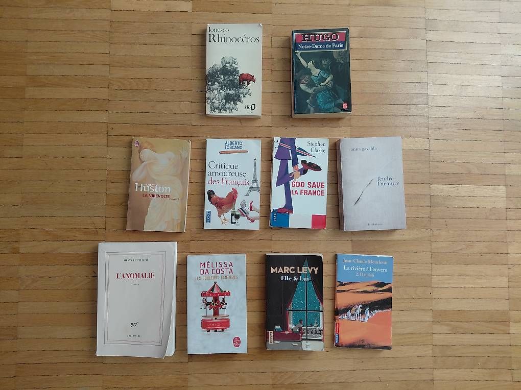 Libri: Verschiedene Romane auf französisch – Usato da Dietikon venduto da els_ww8g