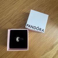 Pandora Charm
