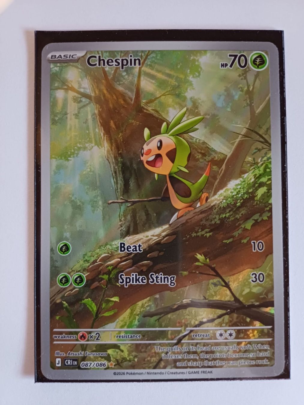 Pokémon Sammelbilder & Trading cards: Chespin (087/086) EN – Neu (gemäss Beschreibung) aus Wolhusen von LandorusTCG