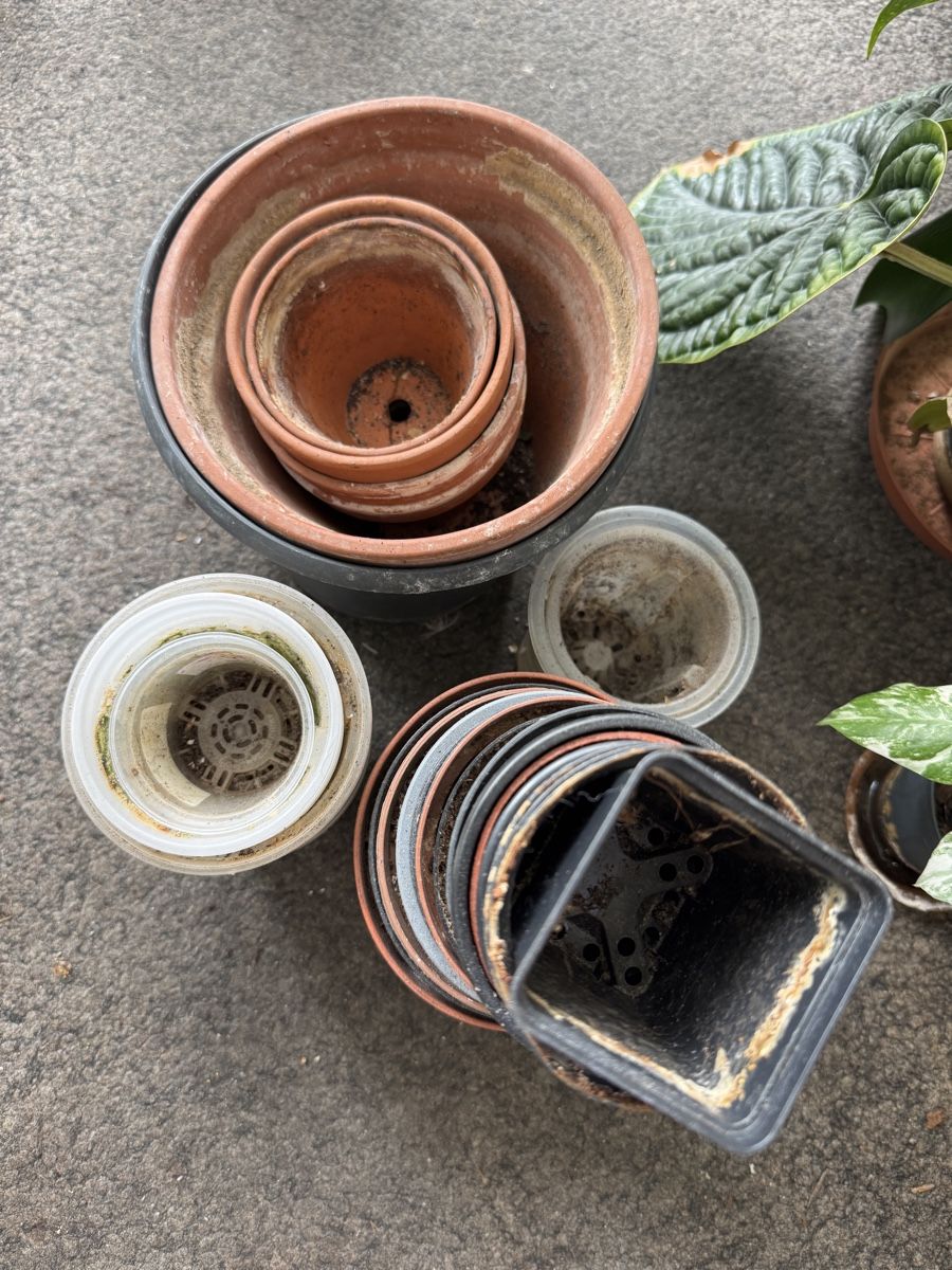 Blumentöpfe: Flower Pots – Gebraucht aus Bern von Lucas_Ma