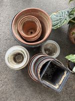 Flower Pots
