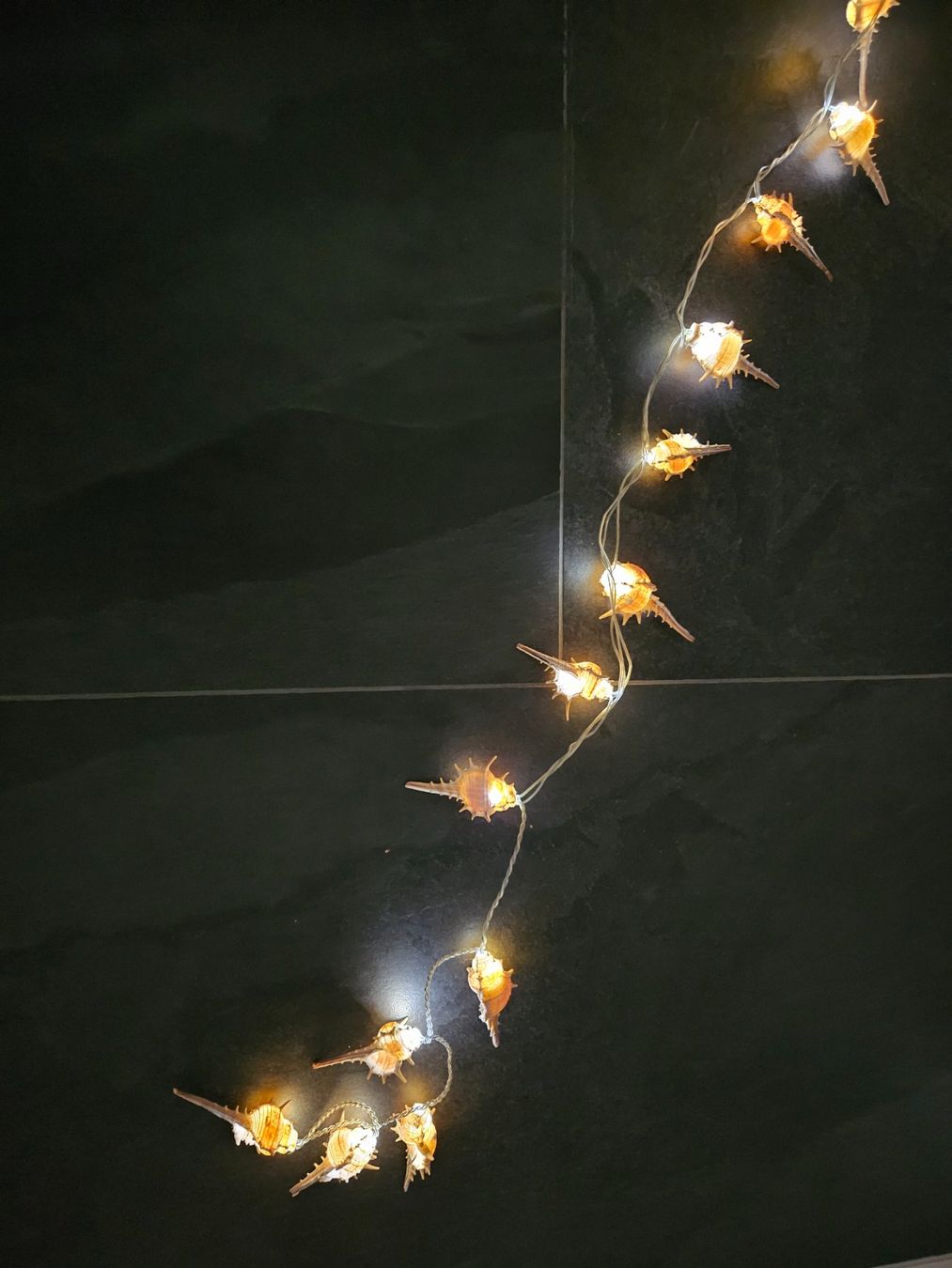 Ghirlande e barre luminose: Muschel Lichterkette, Sommer Deko – Nuovo (secondo la descrizione) da Maseltrangen venduto da Chrusli7 3