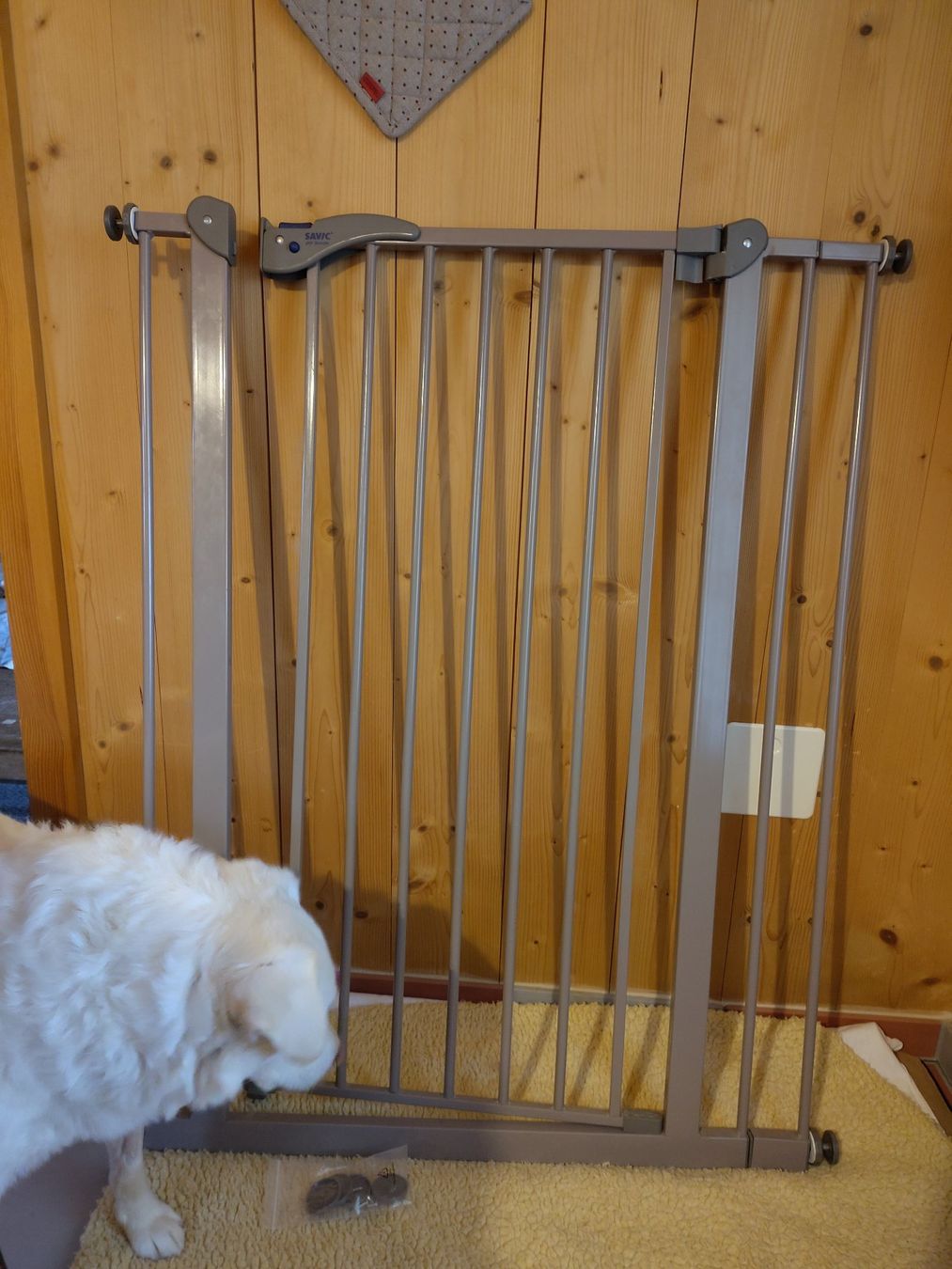 Gabbie, trasporto & Sicurezza: Barrière portail pour chien Savic – Usato da Cugy FR venduto da 1dakota 1