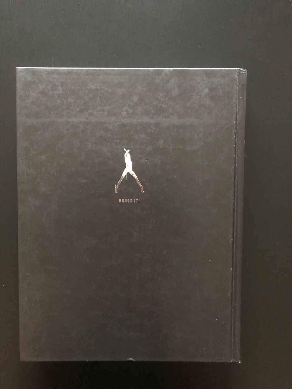Libri: Bayonetta Limited Special Collectors Edition Guide – Usato da Bern venduto da sti_6prs 2