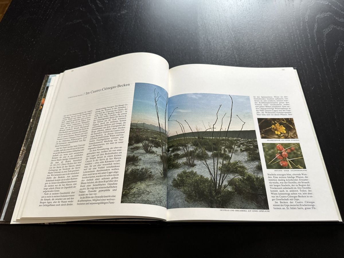 Libri: "Die Sierra Madre" – Usato da Erstfeld venduto da Uhu1980 4