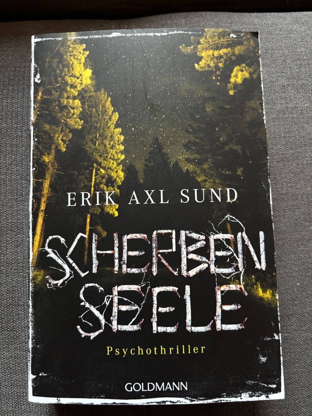 Libri: "Scherbenseele" von Erik Axel Sund – Usato da St. Niklaus VS venduto da np8_lsg2
