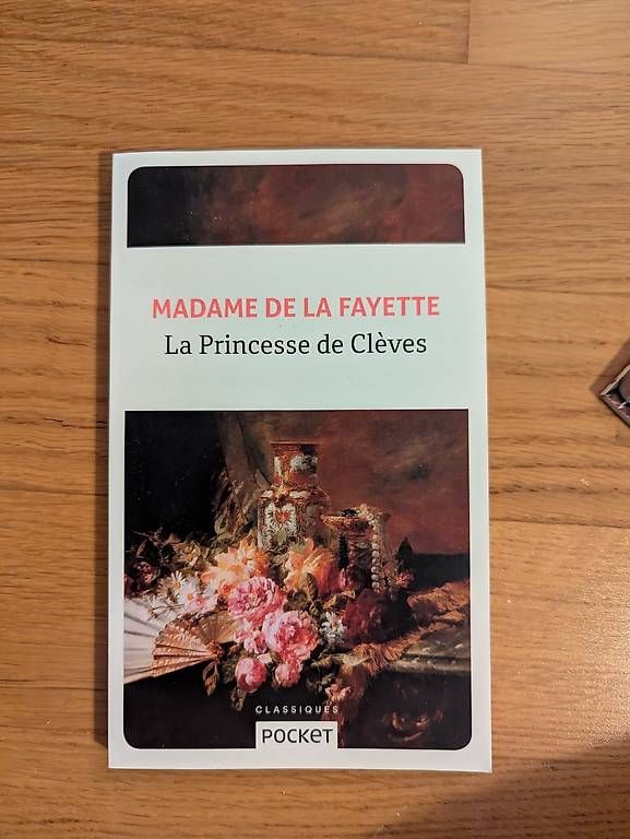 Libri: La Princesse de Cleves – Usato da Buchs ZH venduto da mil_929h