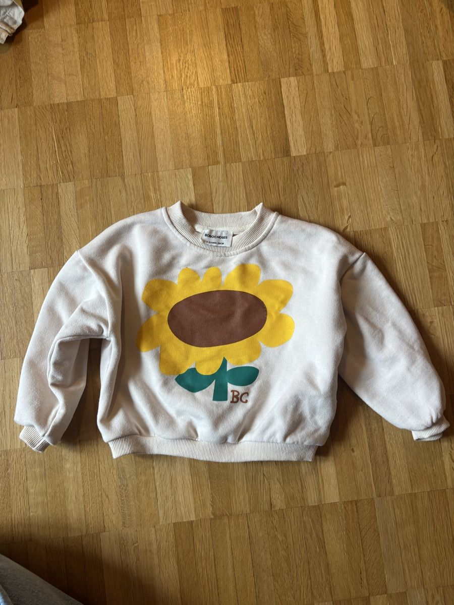 Bobo Choses Maglioni & Felpe: Top Bobo Choses Pullover – Usato da Bern venduto da ann_gabrielle 1
