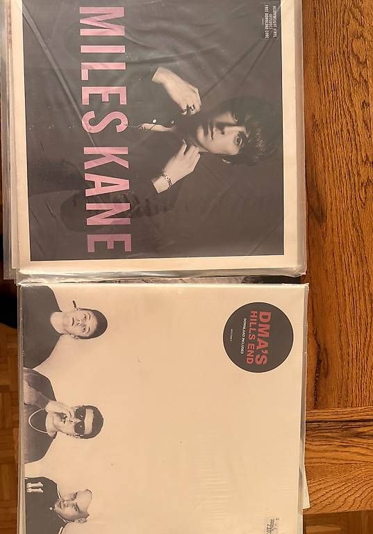 Dischi in vinile: Indie Vinyl Sammlung ca 80 Vinyl – Usato da zuerich venduto da thisboyistocotronic 2