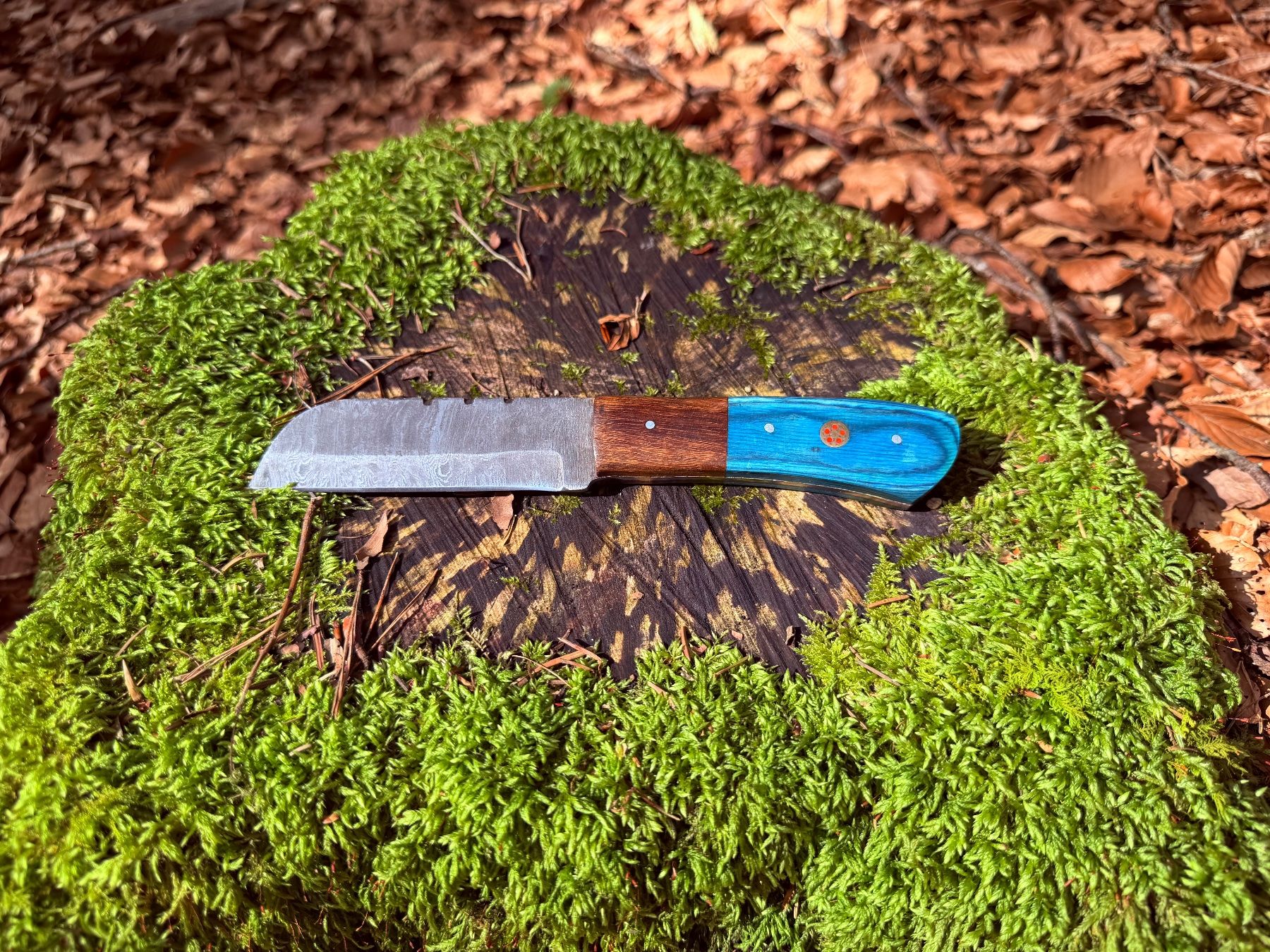 Accessoires: Damast Bushcraft Messer Sheepfoot Blade – Neuf avec emballage d'origine à Luzern par asciva 3