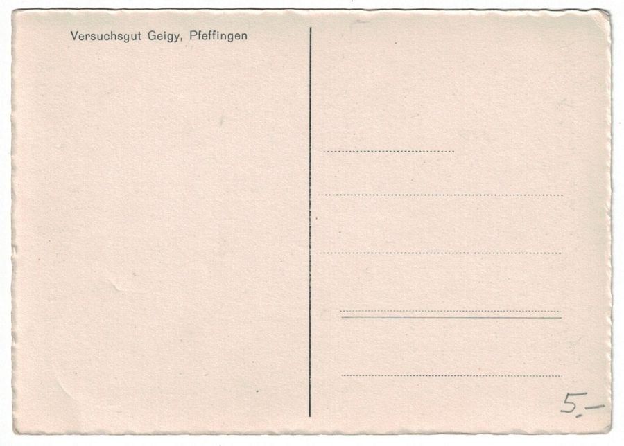 Cartoline postali: Pfeffingen, Versuchsgut Geigy, geschätzt 1948 – Usato da Frauenfeld venduto da POML 1