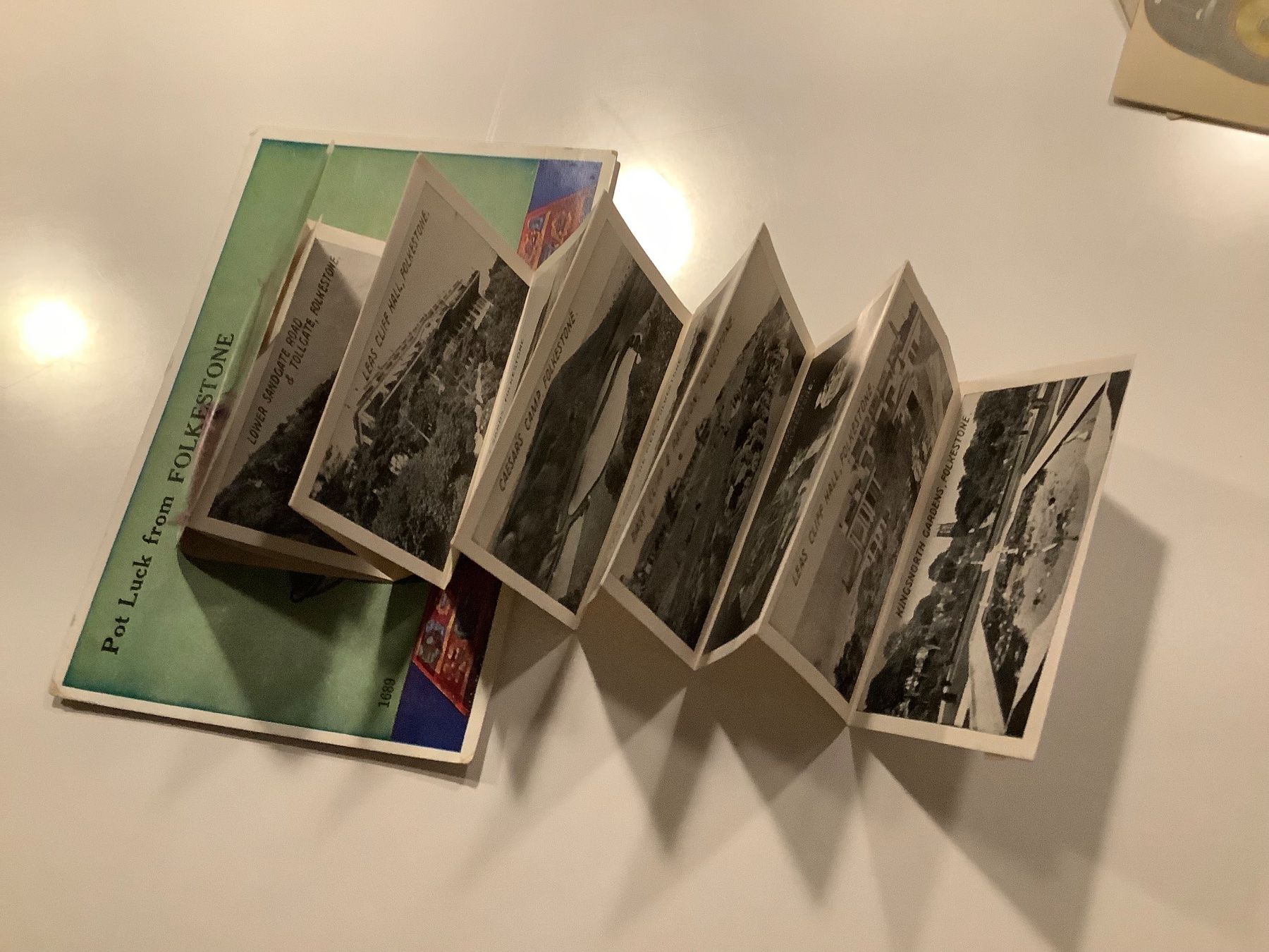 Cartoline postali: Schöne LEPORELLO Ansichtskarte Katzen Folkstone – Usato da Lufingen venduto da Rac0