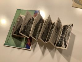 Schöne LEPORELLO Ansichtskarte Katzen Folkstone