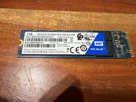 WD Blue 1TB M2 SATA-III SSD