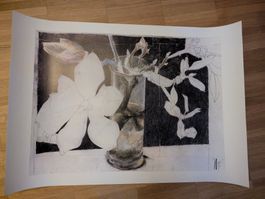 Horst Janssen Signierter Kunstdruck Magnolie