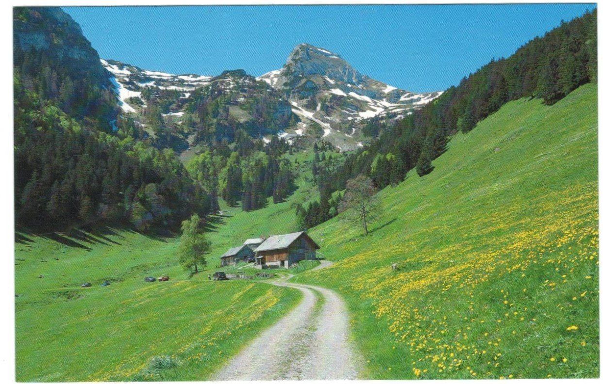 Cartoline postali: AK Alp Valspus, Grabserberg – Usato da Zürich venduto da Tolima194