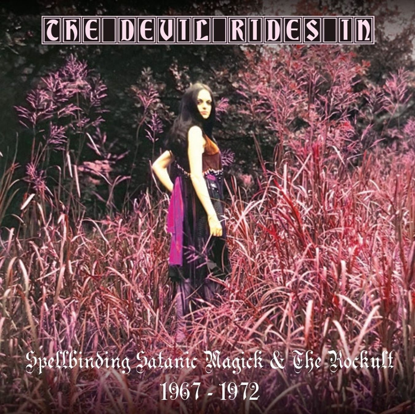 CD: The Devil Rides In, Occult Rock! – Usato da Niederhasli venduto da Hsoz