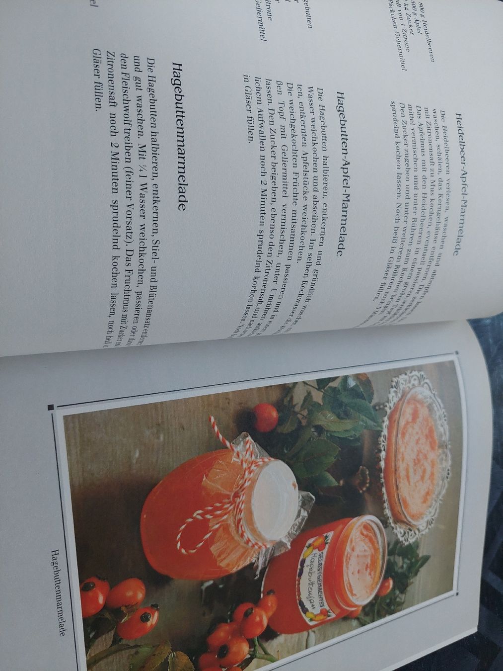 Libri: Delikatessen  im Glas,  Einmachbuch  – Usato da Zetzwil venduto da lanst08 3