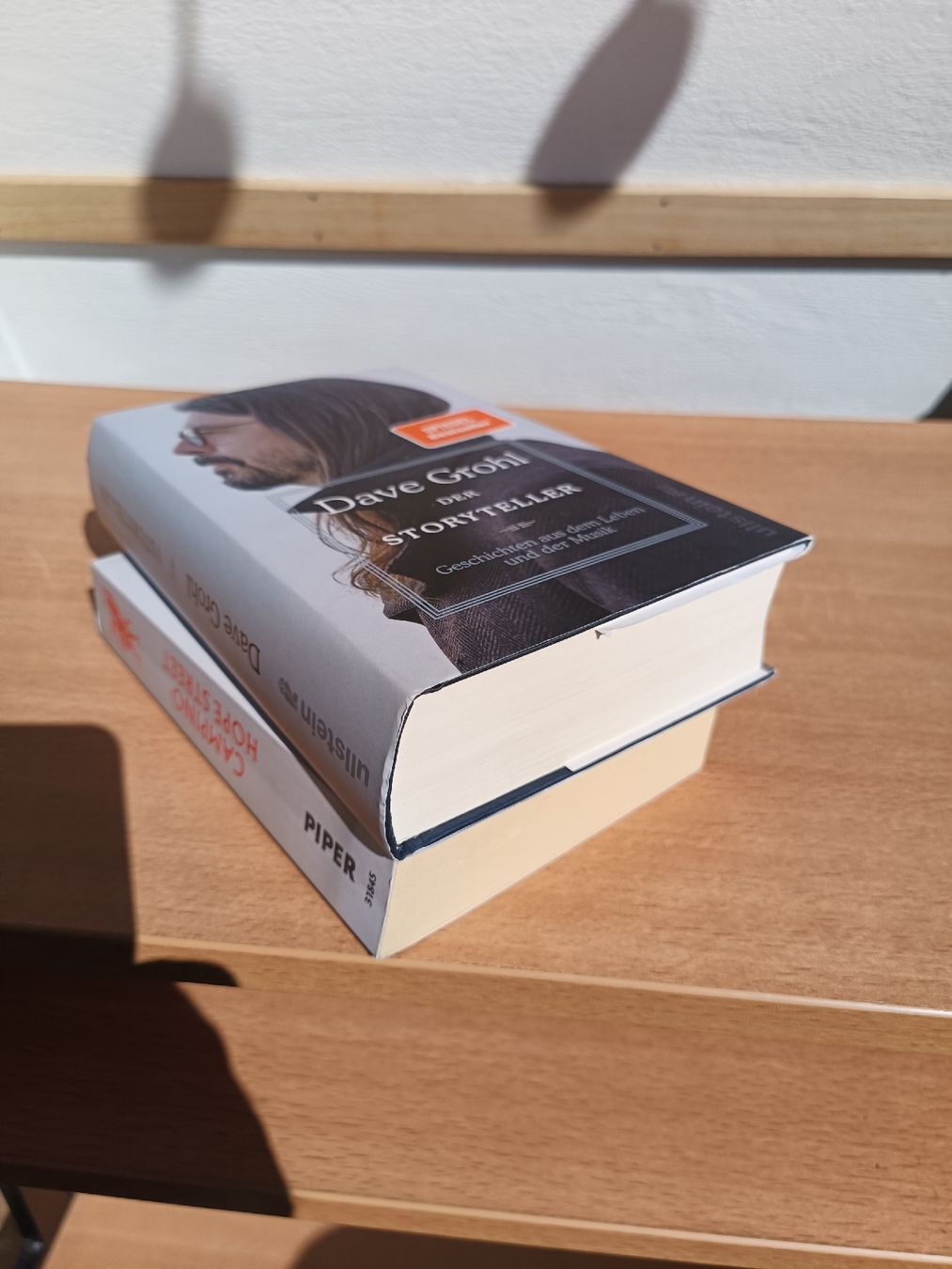 Libri: 2 Biografien Dave Grohl+Campino – Usato da Steffisburg venduto da zulg03 2