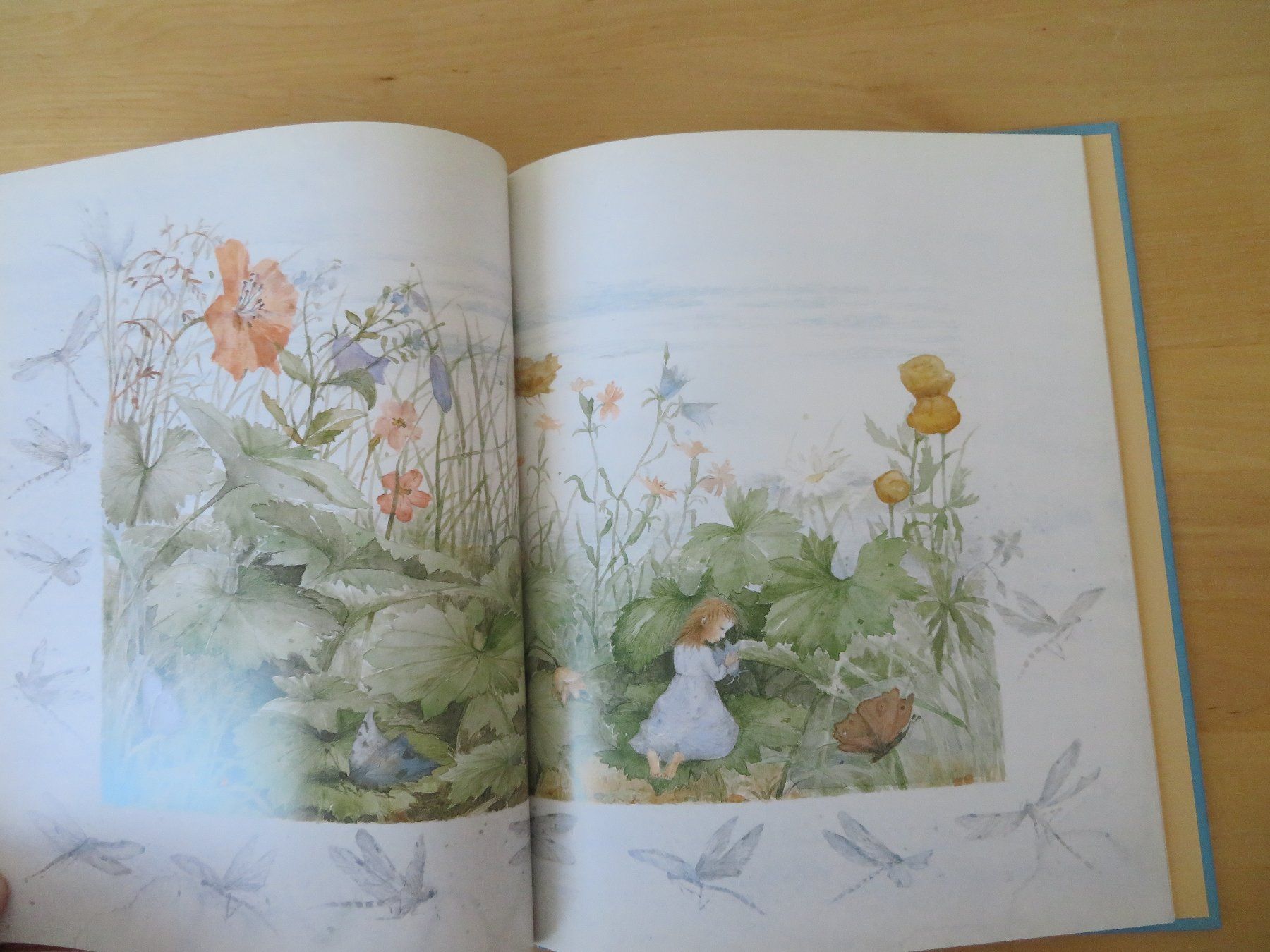 Libri: DÄUMELINCHEN Hans Christian Andersen – Usato da Zürich venduto da piroma 3