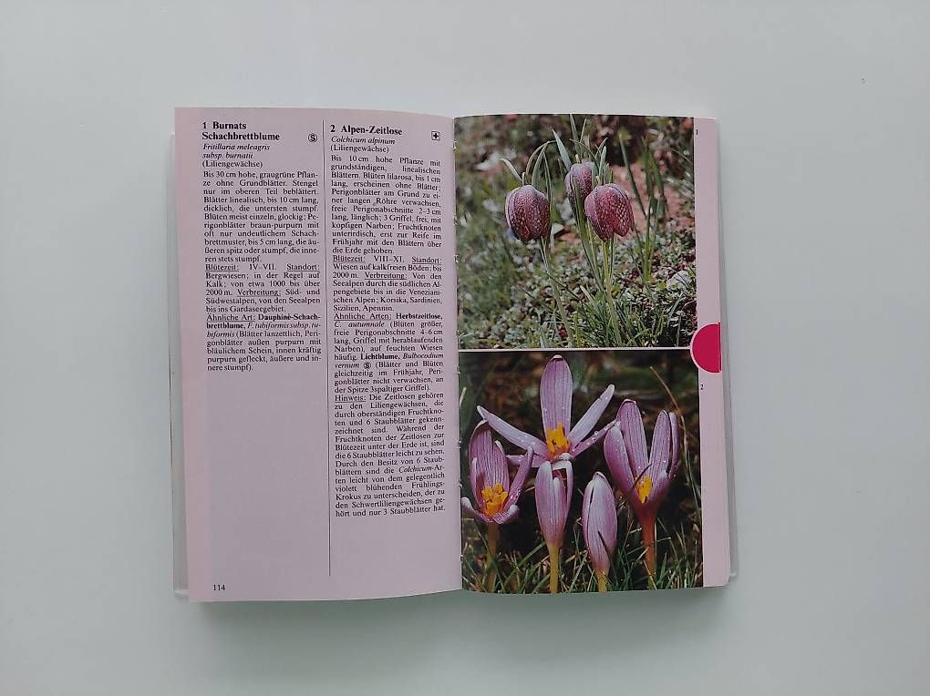 Bücher: GU Naturführer Alpenblumen – Gebraucht aus Balm b. Günsberg von rob_smj8 3