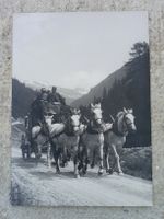 Altes original Photo Gotthard Postkutsche - E. Meerkämper