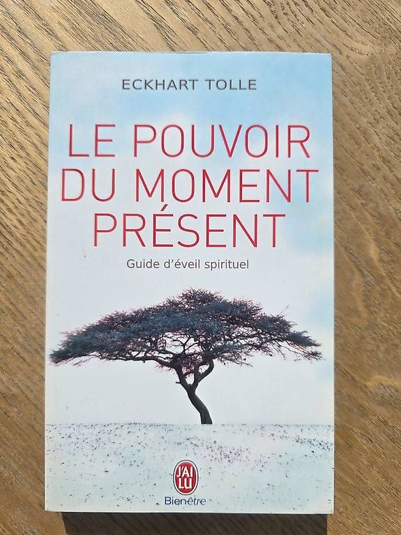 Libri: Le pouvoir du moment présent - Eckart Tolle – Usato da Begnins venduto da psy-harmonie