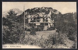 AK Brünig, Kurhaus mit Bergen