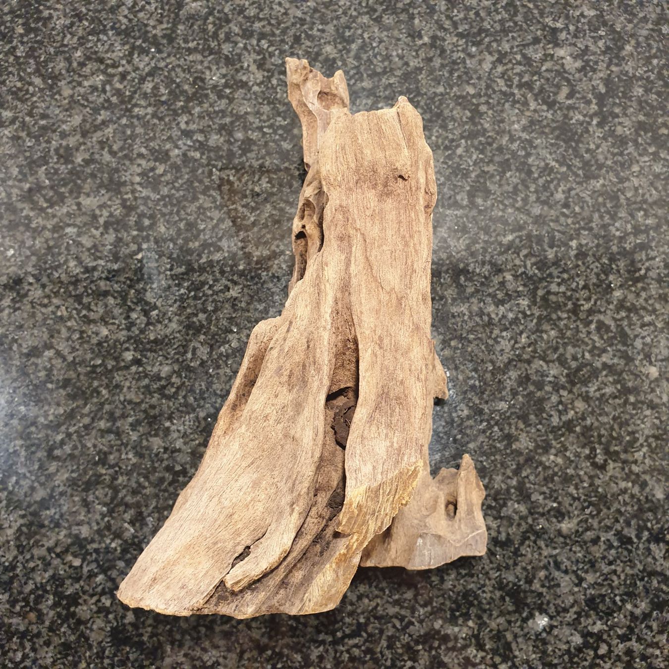 Articoli in legno: Holzwurzel, 21x13cm, 819g – Usato da Neuendorf venduto da DeSiriA 5
