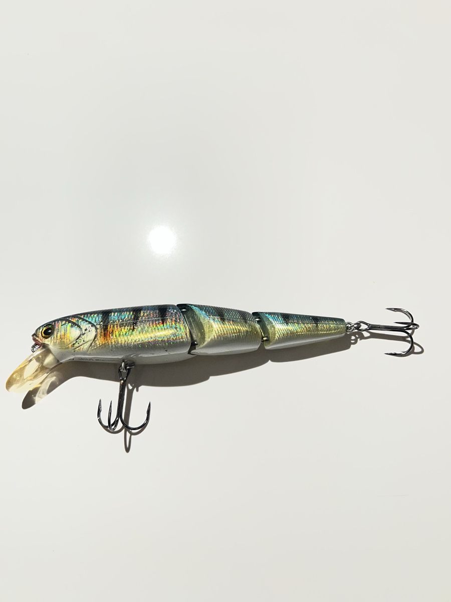 Esche: Big Bait- V-Joint min 160SU – Usato da Männedorf venduto da T_weber 3