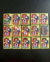 Panini FIFA World Cup 2026 – Norwegen Stickerlot 15