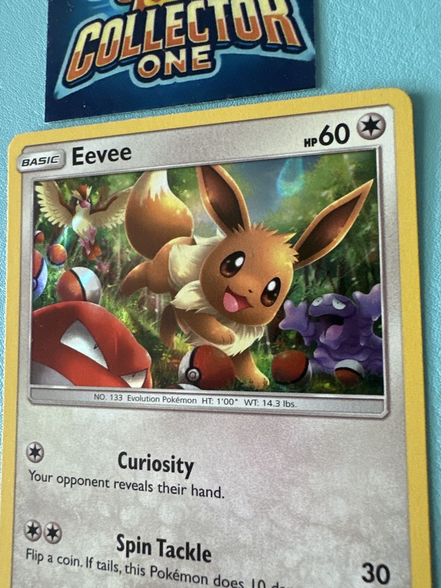 Pokémon Carte collezionabili: Pokemon Eevee Holo 2019 Mega süss – Nuovo (secondo la descrizione) da Lommiswil venduto da CollectorOne 1