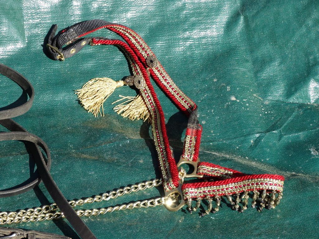 Briglie & Cavezze: wunderschönes Araber ShowHalfter verziertem Leder mit Seil – Usato da Grossaffoltern venduto da mulani