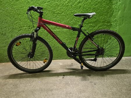 Wheeler Pro 19 sehr gut erhalten