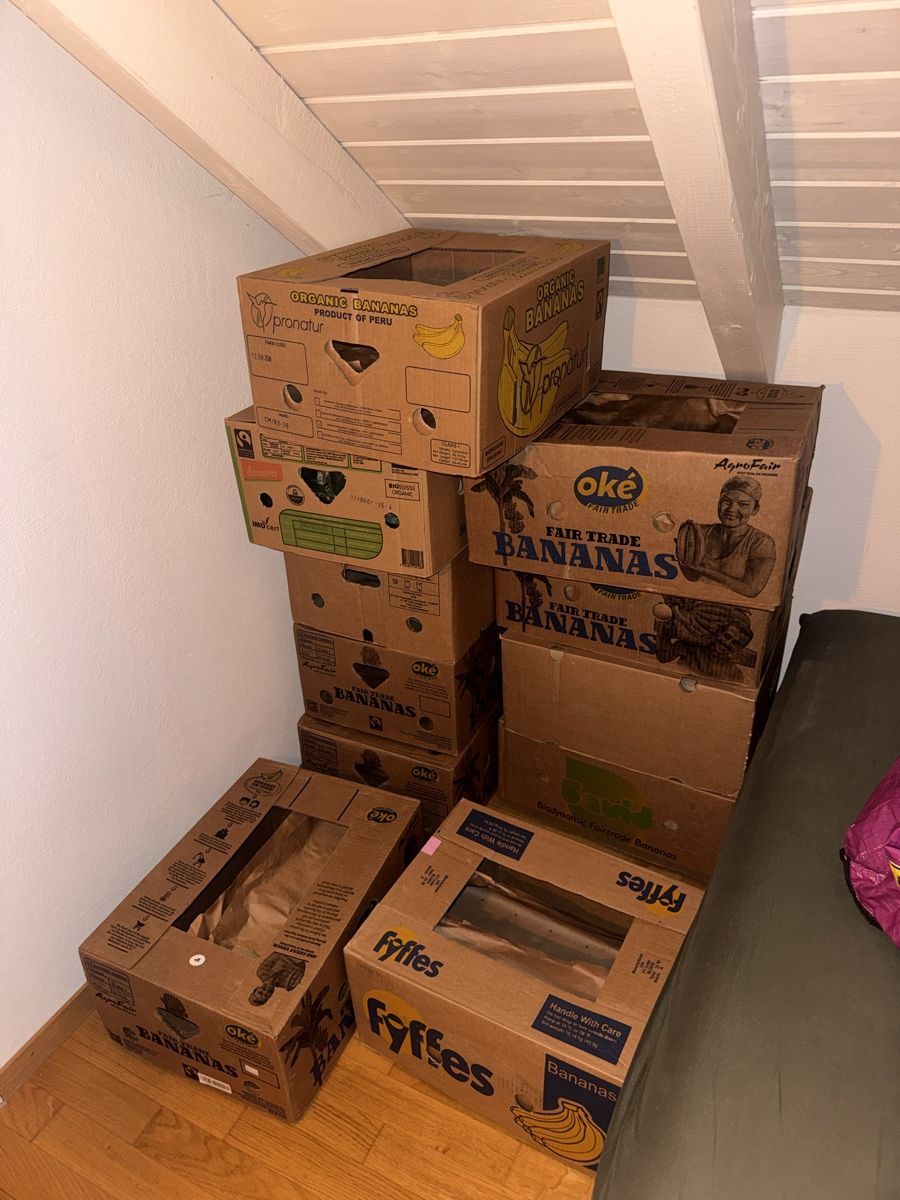 Kartons: 11 Bananenschachteln aus Karton – Gebraucht aus Zürich von law_vv6x 1